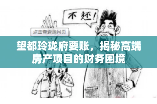 望都玲珑府要账，揭秘高端房产项目的财务困境
