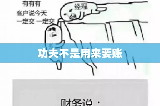 功夫不是用来要账