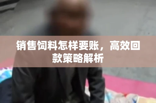 销售饲料怎样要账，高效回款策略解析