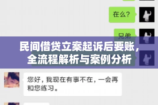 民间借贷立案起诉后要账，全流程解析与案例分析