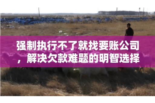 强制执行不了就找要账公司，解决欠款难题的明智选择