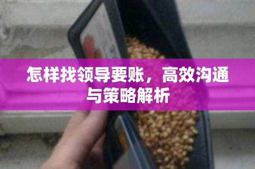 怎样找领导要账，高效沟通与策略解析