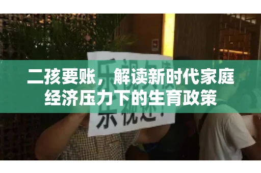 二孩要账，解读新时代家庭经济压力下的生育政策