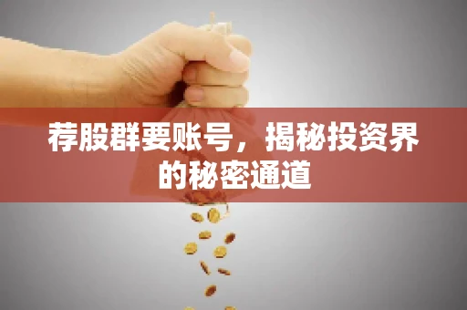 荐股群要账号，揭秘投资界的秘密通道