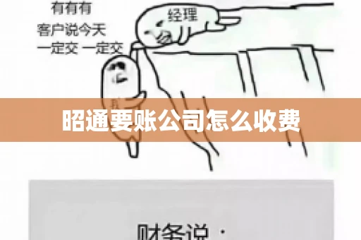 昭通要账公司怎么收费