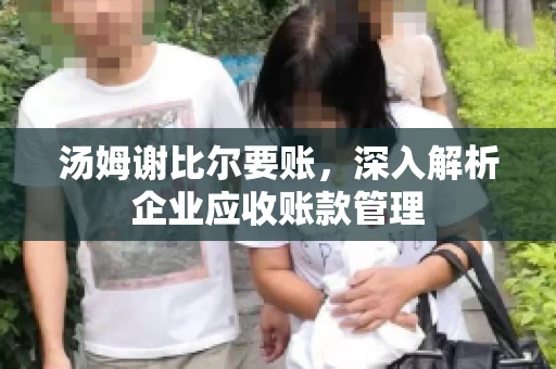 汤姆谢比尔要账，深入解析企业应收账款管理