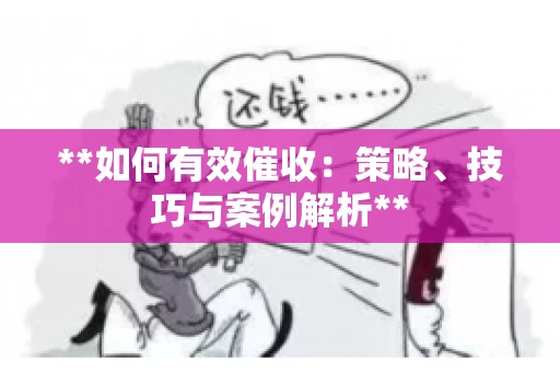 **如何有效催收：策略、技巧与案例解析**