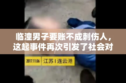 临潼男子要账不成刺伤人，这起事件再次引发了社会对讨债行为的关注。在这个故事中，我们不仅要了解事件的经过，还要思考如何避免类似悲剧的发生。