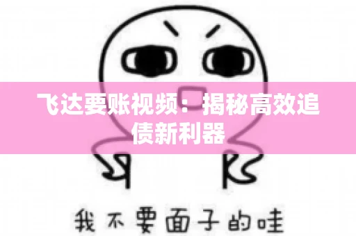 飞达要账视频：揭秘高效追债新利器