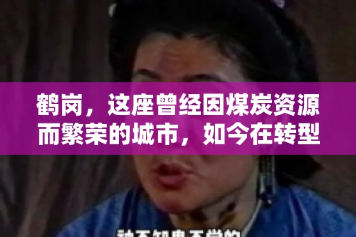 鹤岗，这座曾经因煤炭资源而繁荣的城市，如今在转型中寻求新的发展路径。在这座城市中，有一家名为“鹤岗要账公司”的企业，它以专业的服务，在众多企业中脱颖而出。今天，就让我们一起来了解一下这家公司，看看它是如何在这个充满挑战的市场中立足的。
