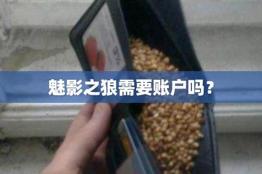 魅影之狼需要账户吗? 魅影之狼需要账户吗?