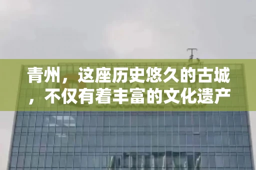 青州，这座历史悠久的古城，不仅有着丰富的文化遗产，还有着繁忙的经济活动。在商业往来中，难免会遇到一些欠款问题，这时候，找一家专业的要账公司就显得尤为重要。那么，青州有帮人要账的吗？答案是肯定的。下面，我就来为大家详细介绍一下青州地区的要账服务。