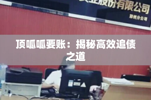 顶呱呱要账：揭秘高效追债之道