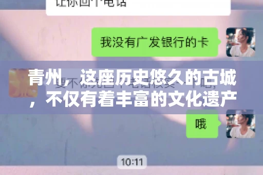 青州，这座历史悠久的古城，不仅有着丰富的文化遗产，也是商业活动频繁的地方。对于许多企业来说，应收账款的管理是日常运营中不可或缺的一环。那么，青州那里有要账的公司呢？今天，我们就来聊聊这个话题。
