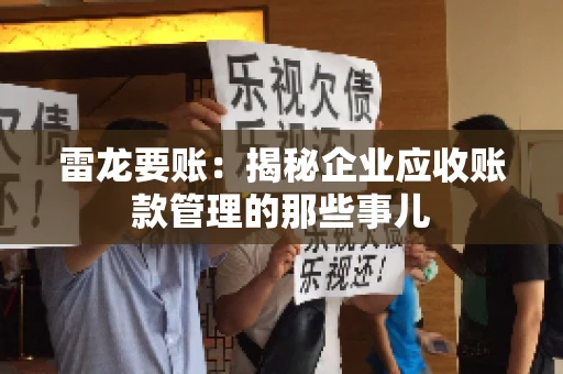 雷龙要账：揭秘企业应收账款管理的那些事儿