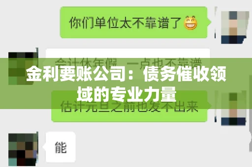 金利要账公司：债务催收领域的专业力量