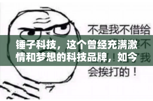 锤子科技，这个曾经充满激情和梦想的科技品牌，如今却陷入了要账的困境。今天，我们就来聊聊锤子科技要账的那些事儿。