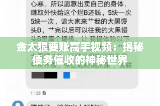 金太狼要账高手视频：揭秘债务催收的神秘世界