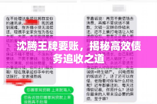 沈腾王牌要账，揭秘高效债务追收之道