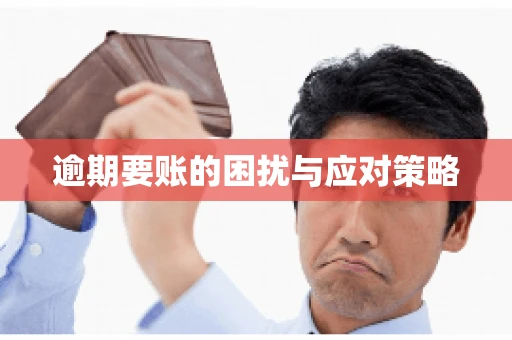 逾期要账的困扰与应对策略