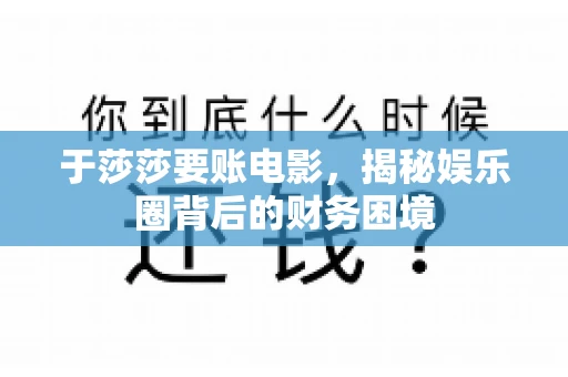 于莎莎要账电影，揭秘娱乐圈背后的财务困境