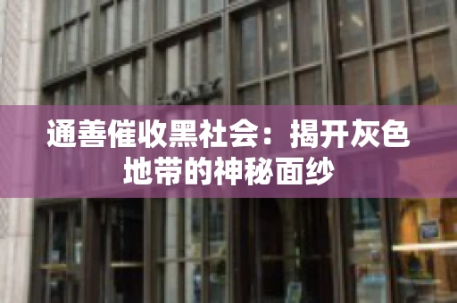 通善催收黑社会：揭开灰色地带的神秘面纱