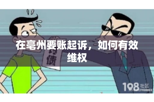 在亳州要账起诉，如何有效维权
