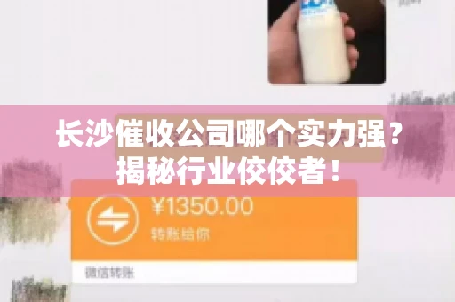 长沙催收公司哪个实力强？揭秘行业佼佼者！
