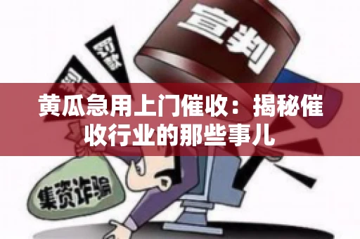 黄瓜急用上门催收：揭秘催收行业的那些事儿