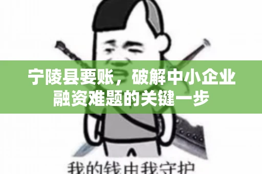 宁陵县要账，破解中小企业融资难题的关键一步