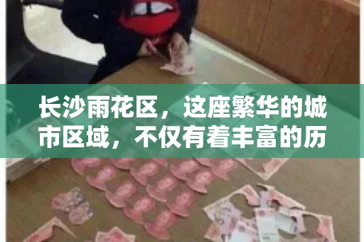 长沙雨花区，这座繁华的城市区域，不仅有着丰富的历史文化，还有着繁忙的金融活动。其中，催收公司作为金融行业的一个重要组成部分，在这里也有着不少的身影。那么，长沙雨花区都有哪些催收公司呢？今天，我们就来聊聊这个话题。