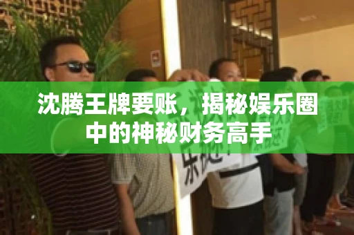 沈腾王牌要账，揭秘娱乐圈中的神秘财务高手