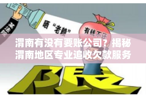 渭南有没有要账公司？揭秘渭南地区专业追收欠款服务
