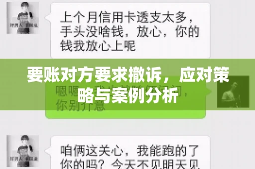 要账对方要求撤诉，应对策略与案例分析